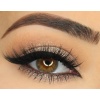 Precise Marker Liner Black Noir