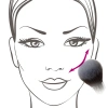 Nanshy Blush Brush