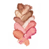 Cheek & Face Duo