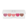 Signature Palette Blushes