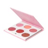 OFRA Blush Palette Charm Your Cheeks