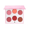 OFRA Blush Palette Charm Your Cheeks