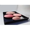 Companion Palette TALL