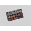 Companion Palette SMALL