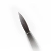Eye Liner Brush