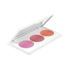 Midi Palette - Cheeky Glow