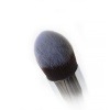 Conceal Perfector P01