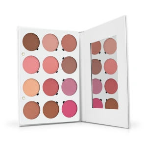 Pro Makeup Palette Blushes
