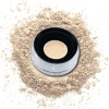 Evolution Powder #2 Fair