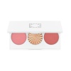 Sitting Pretty Midi Palette