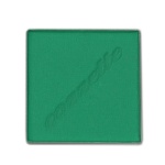 Cozzette Infinite Matte Eyeshadow Gardot